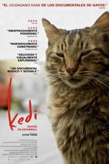 Kedi-2017-Movie-Review