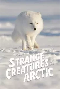 Strange Creatures of the Arctic (2022)